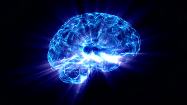 The rotating shining human brain around its axis. Free Stock Video Footage  Download Clips non us film location