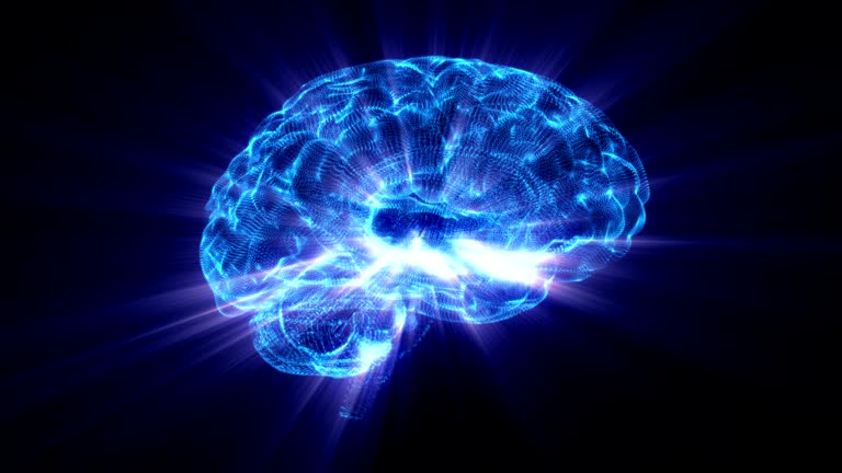 The rotating shining human brain around its axis. Free Stock Video Footage Download Clips non us film location The rotating shining human brain around its axis. Free Stock Video Footage Download Clips non us film location