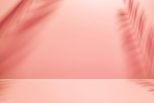 istock Two palm fronds casting shadows on a coral, pink, wall 1163351533