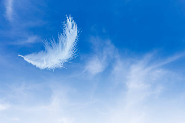 istock White feather floating in the air with in concept on heaven. 1163351640