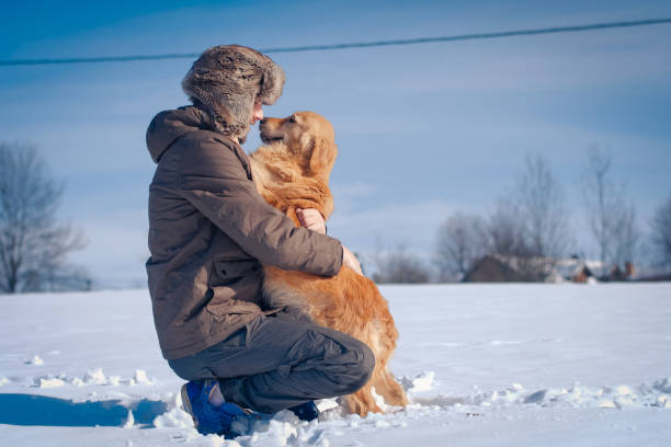 człowiek cieszący się z golden retriever w zimie - leonberger zdjęcia i obrazy z banku zdjęć