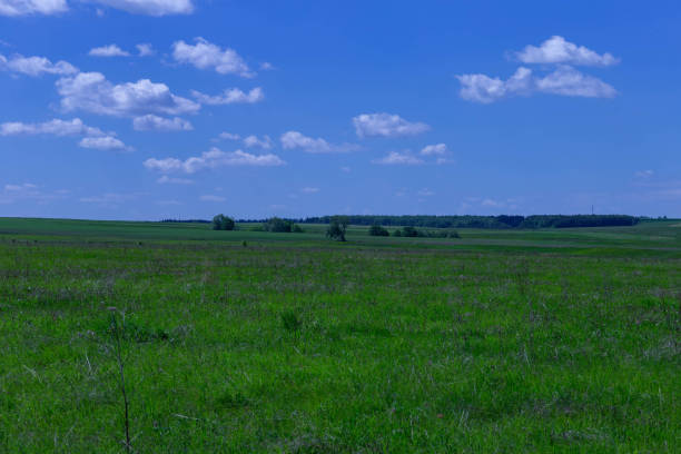 field in late spring and blue sky with white clouds