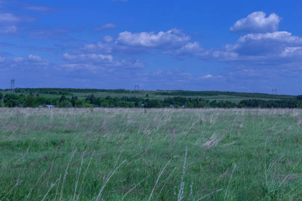istock field in late spring and blue sky with white clouds 1163357616