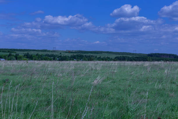 istock field in late spring and blue sky with white clouds 1163357643