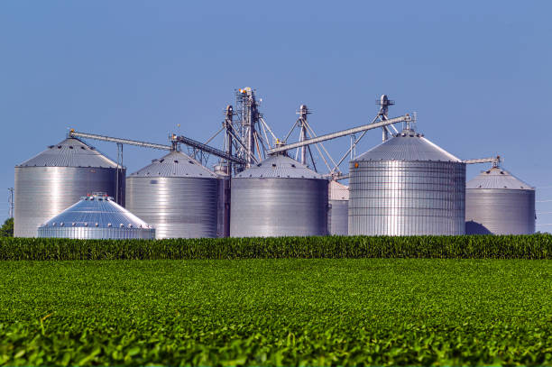 istock Agribusiness in the Summer 0081 1163361023