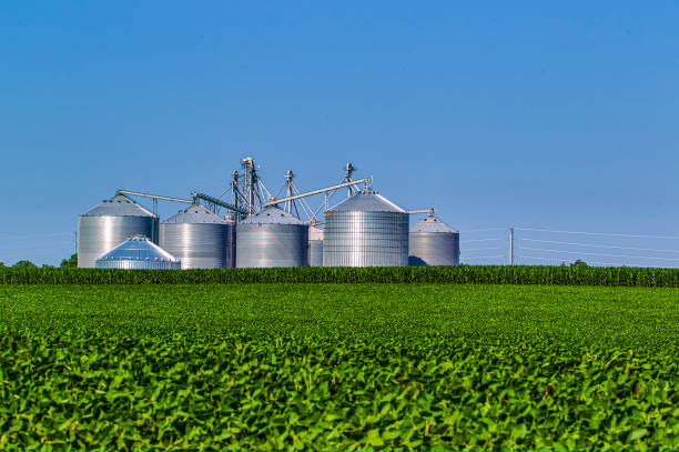 istock Agribusiness in the Summer 0380 1163361024