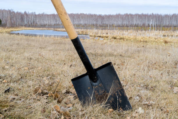 a shovel is inserted into the ground at an angle, the background of the field and the marsh trees without leaves a shovel is inserted into the ground at an angle, the background of the field and the marsh trees without leaves is wounding the spring grave digger stock pictures, royalty-free photos & images