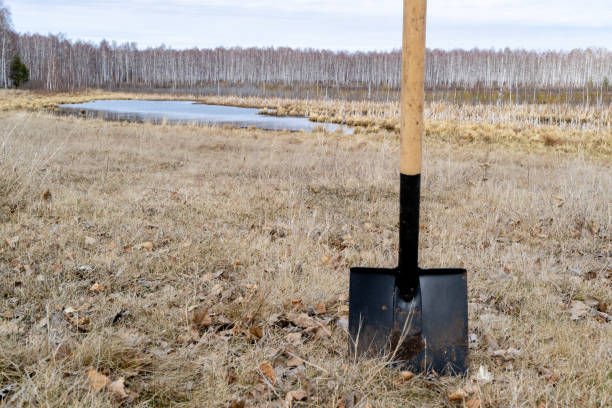 an iron shovel with a wooden handle is inserted into the ground in half an iron shovel with a wooden handle is inserted into the ground in half, a spring field without grass and a lake in the background grave digger stock pictures, royalty-free photos & images