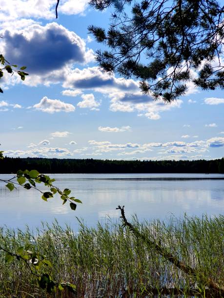 istock Lake views from Finland 1163362275