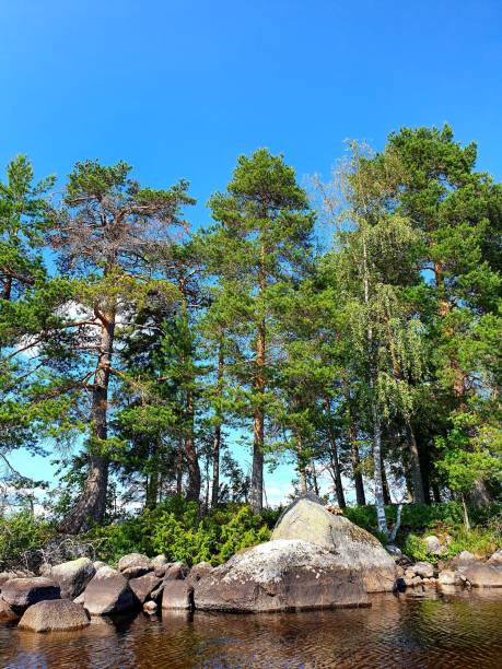 istock Lake views from Finland 1163362374