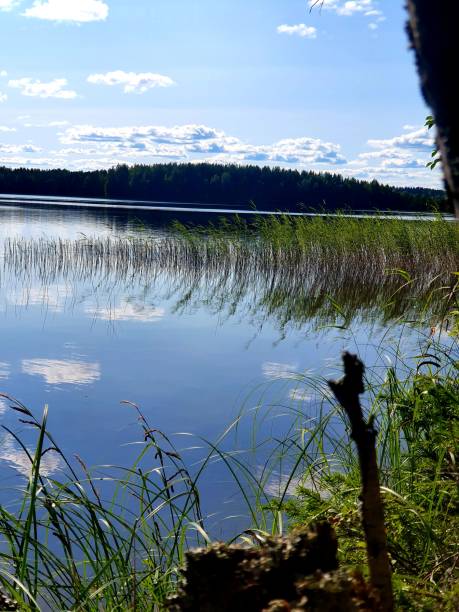 istock Lake views from Finland 1163362428