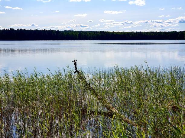 istock Lake views from Finland 1163362440