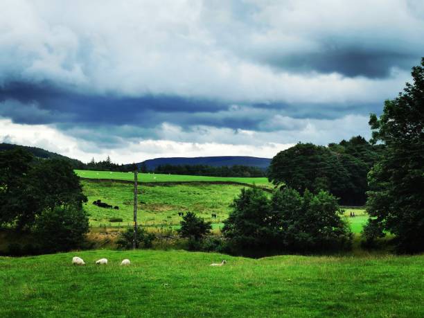 istock Forest of Bowland in Lancashire 1163364862