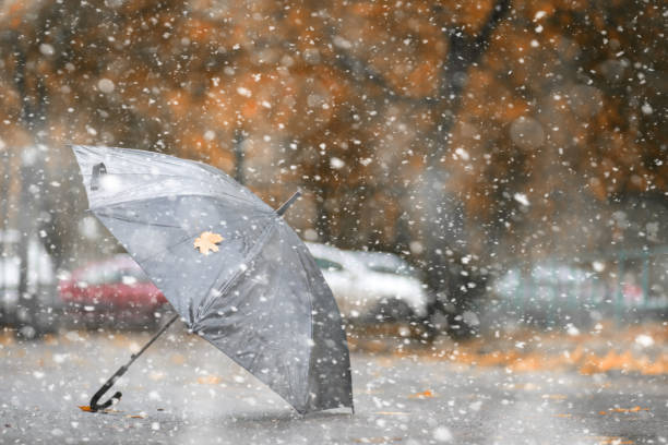 istock Autumn park in the first snow 1163368641