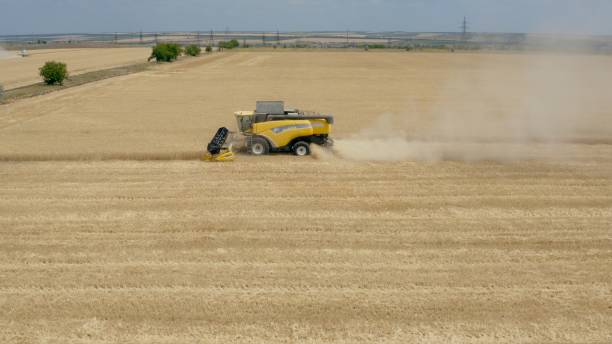 istock Harvester harvests wheat on field - Aerial View 1163370241