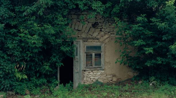 istock Little abandoned fairy house hut 1163370242