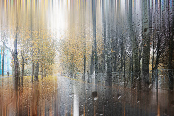 Background autumn rain in the park during the day