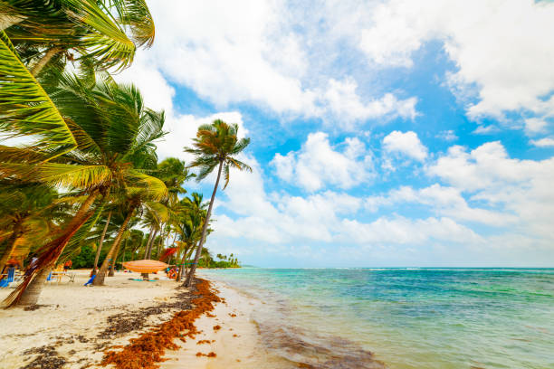 istock Clouds over Wood Jolan beach in Guadeloupe 1163371111