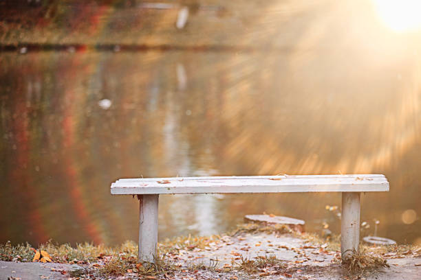Park bench surrounded by autumn leaves