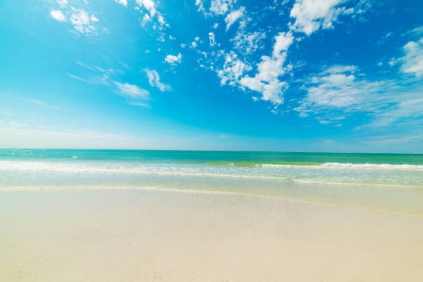 istock Turquoise water and white sand in beautiful Venice beach 1163371727