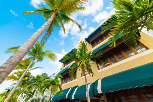 istock Palm trees in beautiful Miami Beach 1163373916