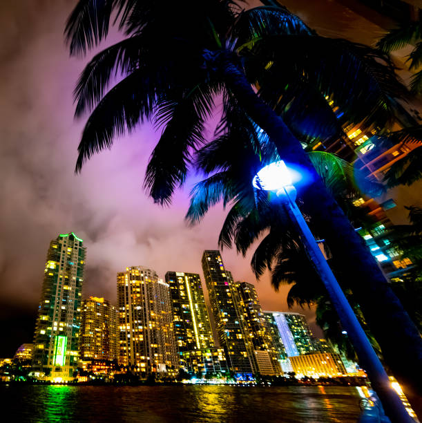 istock Palm trees in Miami riverwalk at night 1163374501