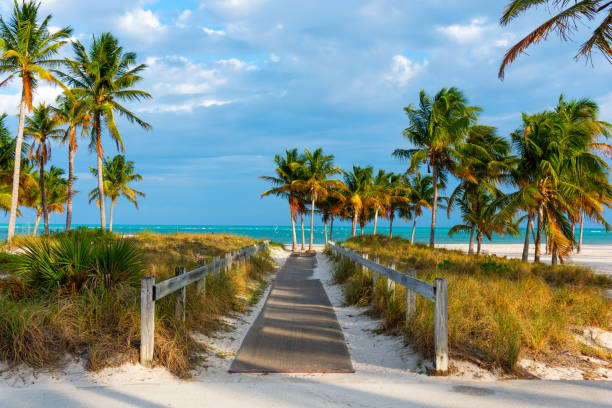 Wooden boardwalk in beautiful Crandon Park in Key Biscayne Wooden boardwalk in beautiful Crandon Park in Key Biscayne. Miami, USA florida stock pictures, royalty-free photos & images