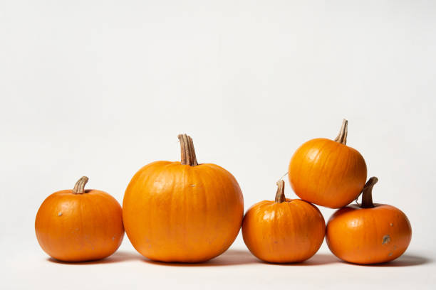 istock Orange Halloween pumpkins standing in line on white background 1163374620