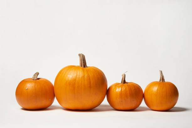 istock Orange Halloween pumpkins standing in line on white background 1163374784