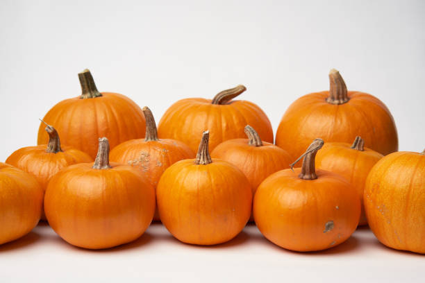 istock Orange Halloween pumpkins standing in line on white background 1163374973
