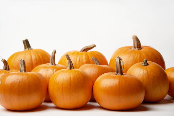 Orange Halloween pumpkins standing in line on white background