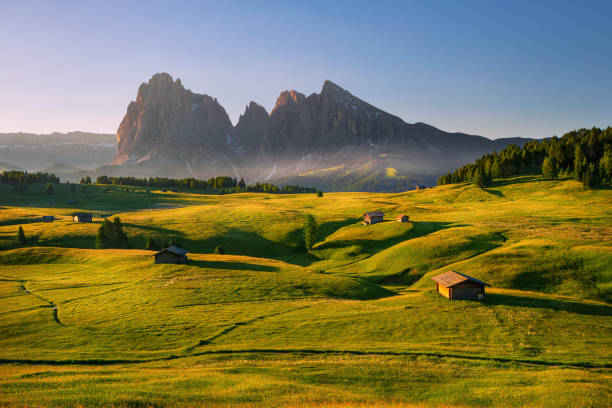 istock summer sunrise over Alpe di Siusi, Dolomites, Italy 1163377874
