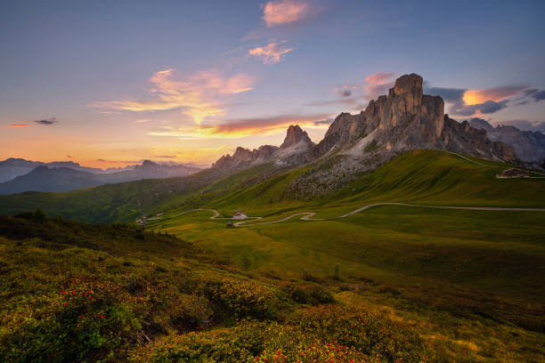 puesta de sol en verano en passo di giau con flores en primer plano, dolomitas, italia - european alps tirol rhododendron nature fotografías e imágenes de stock