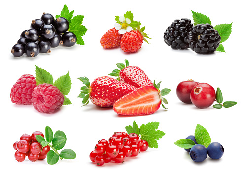 Collection of various berries on the white background.