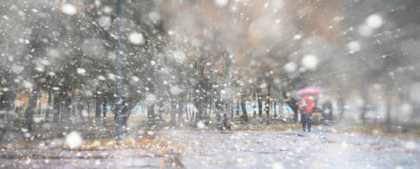 istock Background autumn park in the first snow 1163378945