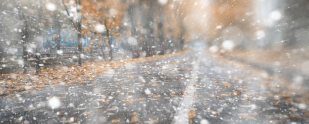 istock Background autumn park in the first snow 1163380231