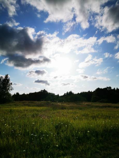 istock A beautiful green meadow in sunshine with blue sky and clouds 1163388772
