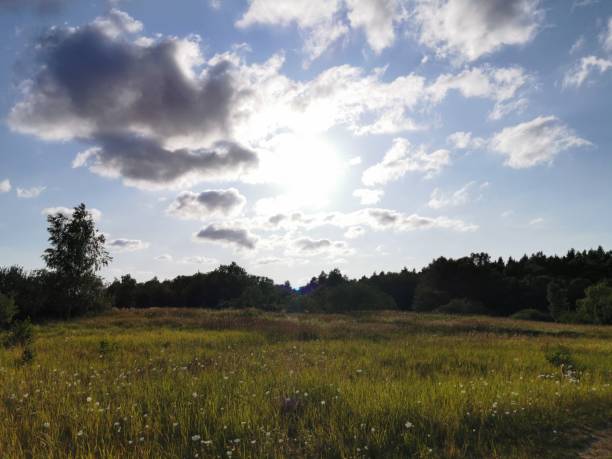 istock A beautiful green meadow in sunshine with blue sky and clouds 1163388865