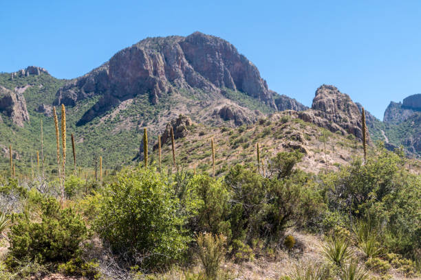 istock Landscape view of Big Bend National Park 1163389664