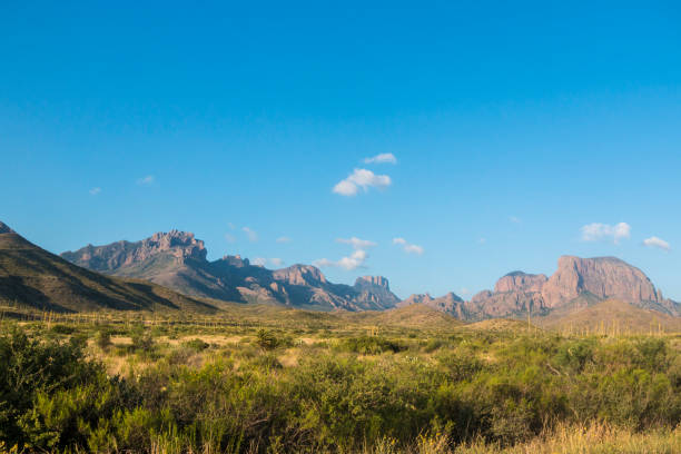 istock Landscape view of Big Bend National Park 1163391403
