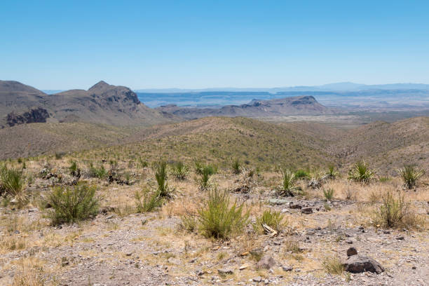 istock Landscape view of Big Bend National Park 1163391731