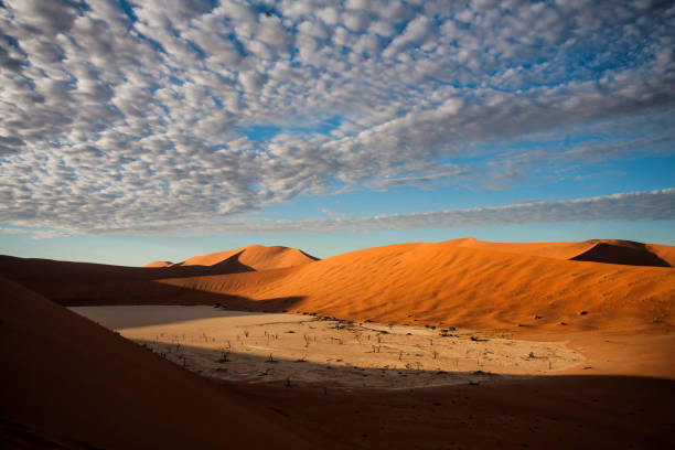 istock Dead Vlei near Sossusvlei in Nambia 1163394114