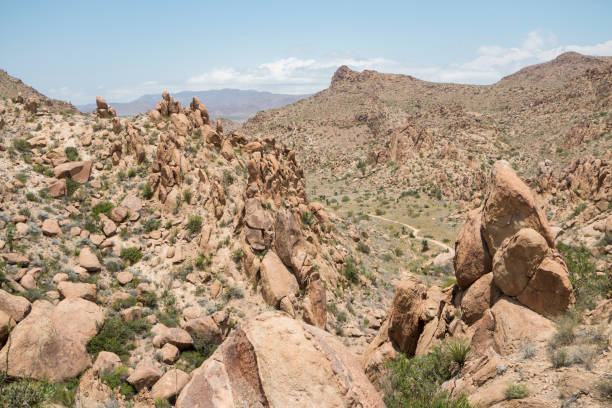 istock Landscape of Big Bend National Park (Texas) 1163396758
