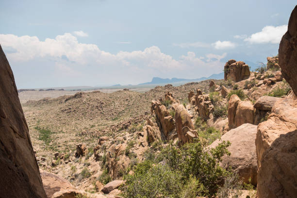 istock Landscape of Big Bend National Park (Texas) 1163396866