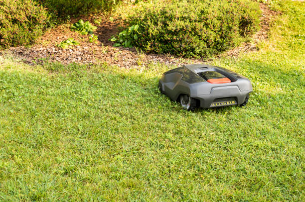 istock Robotic Lawn Mower cutting grass in the garden. 1163407971