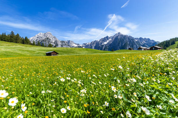 istock Beautiful mountain landscape in Alps, Austria, Walderalm. 1163416039