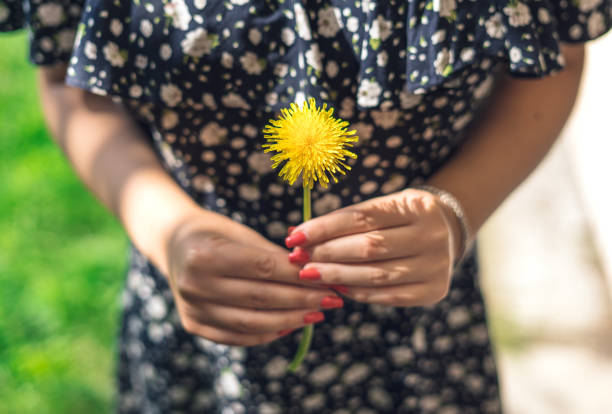 Young adult blonde woman sitting alone on grass at meadow of fresh yellow blooming dandelions in warm sunny spring day. Thinking about life in restful moment. Peaceful atmosphere in nature. Back view.