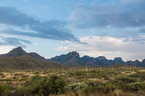 istock Sunset in Big Bend National Park 1163419072