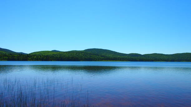 día en el lago (foto12) - laurentian moutains fotografías e imágenes de stock