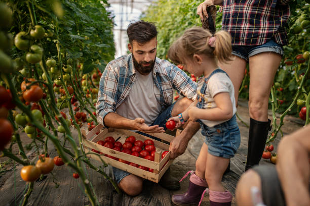 istock Multi-generation family working in greenhouse 1163420906